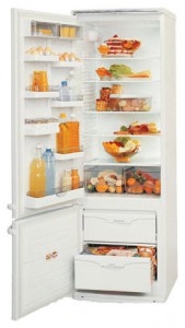Холодильник ATLANT МХМ 1834-00 Фото обзор