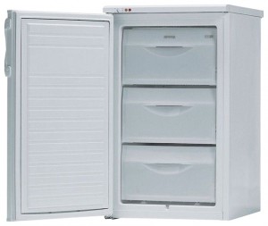 Kühlschrank Gorenje F 3101 W Foto Rezension
