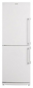 Холодильник Blomberg KSM 1640 A+ Фото обзор