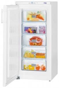 Холодильник Liebherr GP 2033 Фото обзор