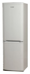 Refrigerator BEKO CSE 29000 larawan pagsusuri