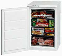 Refrigerator Electrolux EU 6328 T larawan pagsusuri