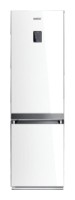Kühlschrank Samsung RL-55 VTE1L Foto Rezension