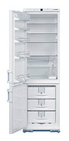 Refrigerator Liebherr KGT 4066 larawan pagsusuri