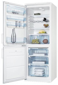 Refrigerator Electrolux ERB 30090 W larawan pagsusuri