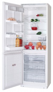 Refrigerator ATLANT ХМ 6019-013 larawan pagsusuri