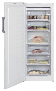 Kjøleskap BEKO FS 225300 Bilde anmeldelse