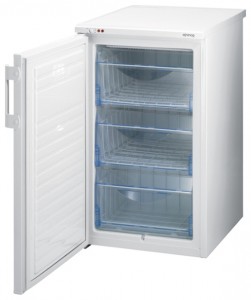Refrigerator Gorenje F 3105 W larawan pagsusuri