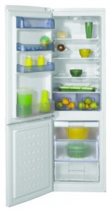 Refrigerator BEKO CSA 29010 larawan pagsusuri