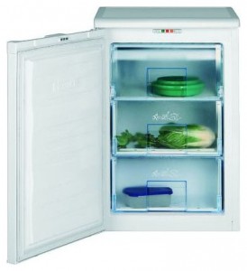 Refrigerator BEKO FSE 1010 larawan pagsusuri