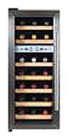 Refrigerator Ecotronic WCM-21DE larawan pagsusuri