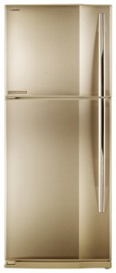 Refrigerator Toshiba GR-M49TR SC larawan pagsusuri