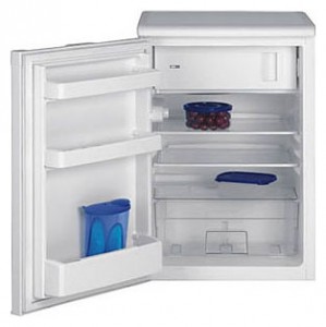 Refrigerator BEKO TSE 1410 larawan pagsusuri
