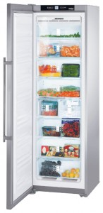 Refrigerator Liebherr SGNes 3011 larawan pagsusuri