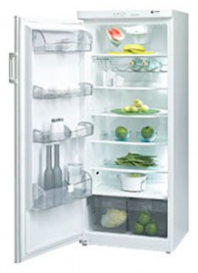Refrigerator Fagor 1FSC-18 EL larawan pagsusuri