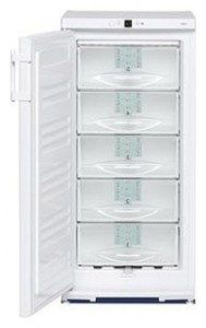 Tủ lạnh Liebherr G 2013 ảnh kiểm tra lại