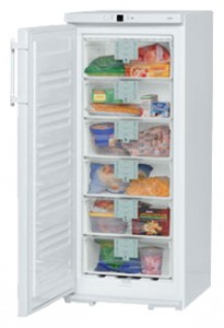Refrigerator Liebherr G 2413 larawan pagsusuri