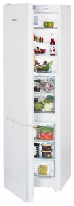 Refrigerator Liebherr CBNPgw 3956 larawan pagsusuri