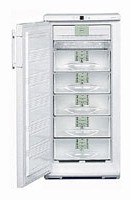 Refrigerator Liebherr GN 2413 larawan pagsusuri