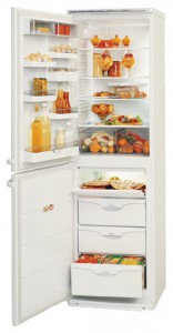 Холодильник ATLANT МХМ 1805-01 Фото обзор