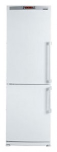 Холодильник Blomberg KKD 1650 Фото обзор