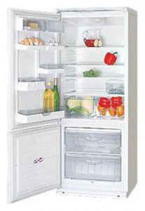 Kühlschrank ATLANT ХМ 4009-012 Foto Rezension