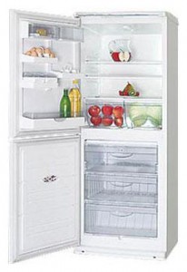 Kühlschrank ATLANT ХМ 4010-001 Foto Rezension