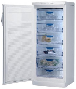 Refrigerator Gorenje F 6245 W larawan pagsusuri