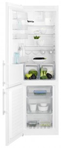 Kjøleskap Electrolux EN 3852 JOW Bilde anmeldelse