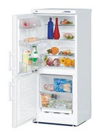 Refrigerator Liebherr CU 2221 larawan pagsusuri