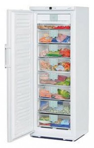 Refrigerator Liebherr GN 3356 larawan pagsusuri
