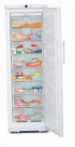 best Liebherr GN 2866 Fridge review