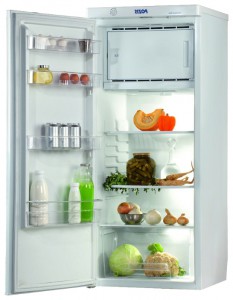 Kühlschrank Pozis RS-405 Foto Rezension