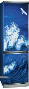 Kühlschrank Hotpoint-Ariston ERFV 402D WV Foto Rezension