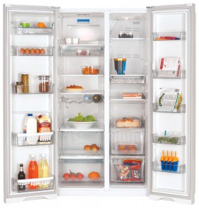 Kjøleskap Frigidaire FSE 6100 WARE Bilde anmeldelse