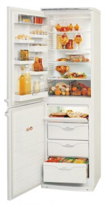 Холодильник ATLANT МХМ 1805-34 Фото обзор