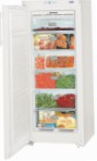 лучшая Liebherr GN 2323 Холодильник обзор