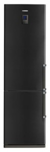 Refrigerator Samsung RL-41 ECTB larawan pagsusuri