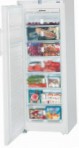 лучшая Liebherr GNP 2756 Холодильник обзор