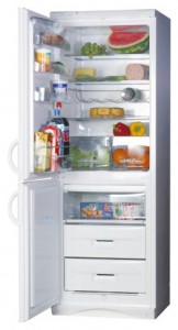 Холодильник Snaige RF390-1803A Фото обзор