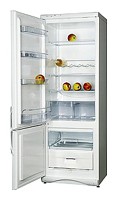 Холодильник Snaige RF315-1T03А Фото обзор