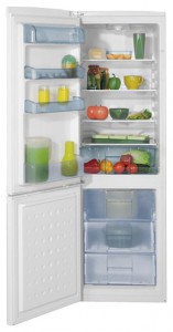 Refrigerator BEKO CS 328020 larawan pagsusuri