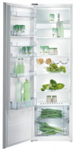 Холодильник Gorenje RI 4181 AW Фото обзор