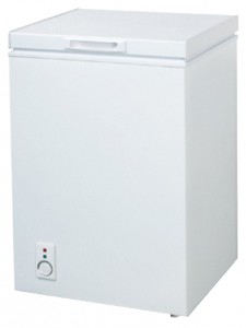 Køleskab Amica FS100.3 Foto anmeldelse