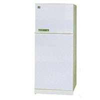 Холодильник Daewoo Electronics FR-490 Фото обзор