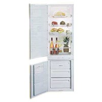 Холодильник Zanussi ZI 310 Фото обзор