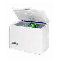 Refrigerator Indesit GSO 370 W larawan pagsusuri