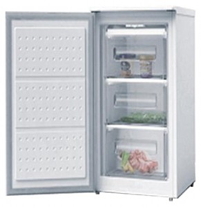 Холодильник Wellton GF-80 фото огляд