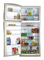Refrigerator Toshiba GR-H74TR MC larawan pagsusuri