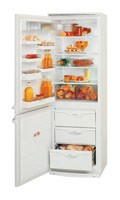 Холодильник ATLANT МХМ 1717-01 Фото обзор